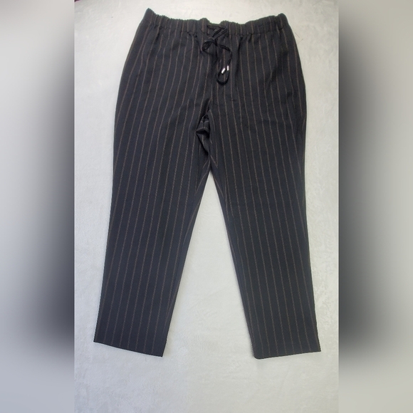 Nine West Medium Thickness office BUSINESS Casual Career Women's pants Size XXL - Picture 3 of 10